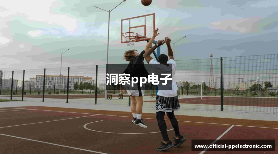洞察pp电子